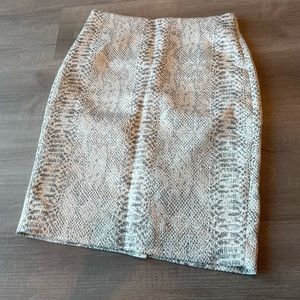 Ann Taylor Pencil Skirt